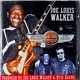 Joe Louis Walker • Otis Grand - Guitar Brothers