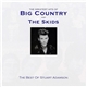 Big Country and The Skids - The Greatest Hits Of Big Country And The Skids: The Best Of Stuart Adamson