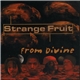 Strange Fruit - From Divine